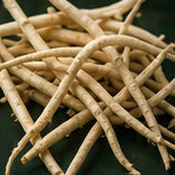 Safed Musli and Fertility: Traditional Use vs Modern Evidence